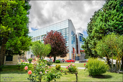 CENIEH, Instituto de Investigación en Burgos,Burgos