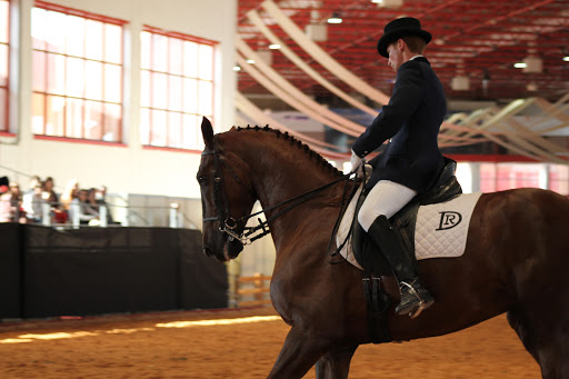 Escuela de Equitación Diego Romero, Escuela de equitación en Láchar,Granada