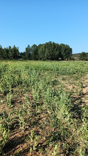 Ayuntamiento del Valle Valdelucio, Oficina de Información Ciudadana en Quintanas de Valdelucio,Burgos