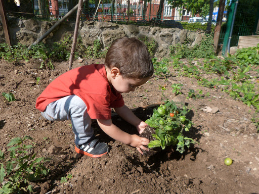 Llar d'infants les baldufes, Escuela en Olot,Girona