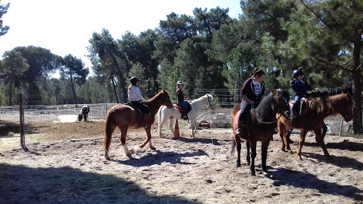Escuela de Equitación de Frumales, Servicio a caballo en Frumales,Segovia