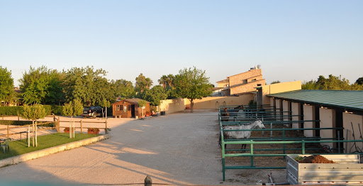 Hípica Sa Fita, Escuela de equitación en Marratxí,Baleares