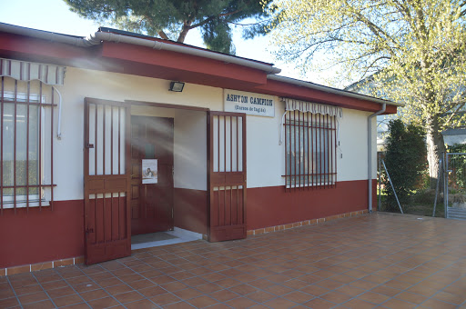 Ashton Campion, Escuela de inglés en Madrid,Madrid