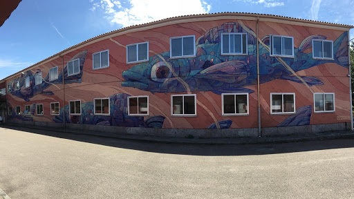 CEIP 