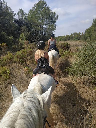 Centre Hípic Rodonyà, Escuela de equitación en Rodonyà,Tarragona