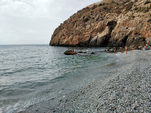 Centro del Profesorado Motril, Escuela vocacional en Motril, Granada,Granada