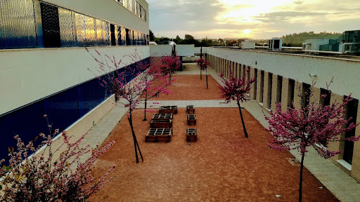 CEIP Evaristo Calatayud, Institución educativa pública en Montserrat,Valencia