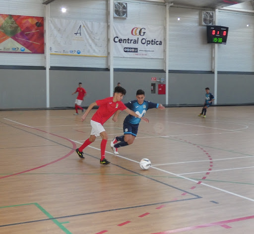 CD Futbol-Sala Pozo de Guadalajara, Escuela deportiva en Pozo de Guadalajara,Guadalajara