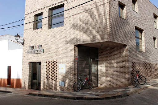 Academia Willow - El Saucejo, Escuela de inglés en El Saucejo,Sevilla