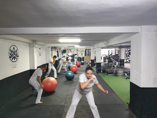 Dharma Academy, Club de Deportes en Vilagarcía de Arousa,Pontevedra