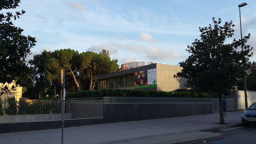 St. Patrick's International School, Escuela en Sant Joan Despí,Barcelona
