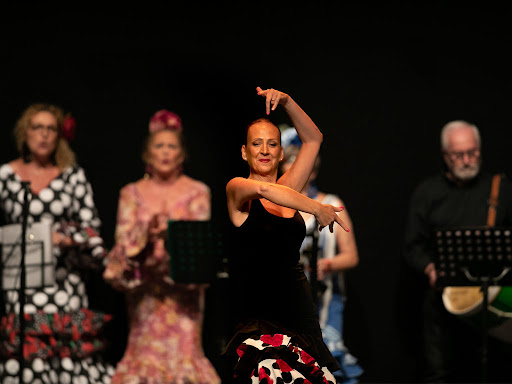 Luisa Piquer Estudio de danza, Escuela de baile en Borriana,Castellón