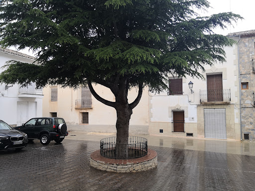Ayuntamiento de Benifallim, Ayuntamiento en Benifallim,Alicante