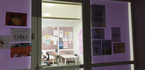 ACADEMIA FUTURA, Servicio de tutoría en León,León