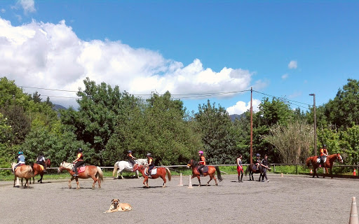 Natura a Cavall Escuela de Doma Natural, Escuela de equitación en Santa Coloma de Farners,Girona