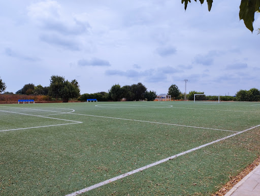 Colegio Alfinach, Institución educativa privada en Puçol,Valencia
