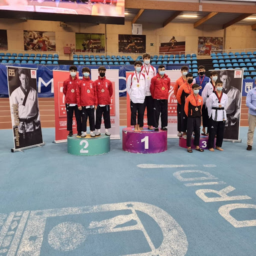 Escuela de taekwondo Do-Ho, Escuela de taekwondo en Cedillo del Condado,Toledo