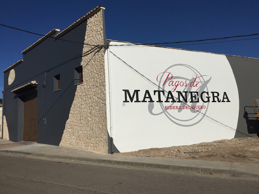Bodega Pagos de Matanegra, tu Ribera del Duero, Lagar en Olmedillo de Roa,Burgos