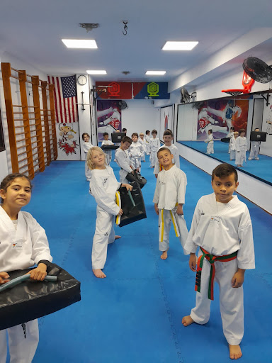 Taekwondo Canto, Escuela de taekwondo en Pineda de Mar,Barcelona