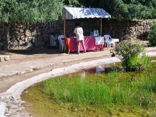 Casal Son Tugores, Centro de capacitación en Alaró,Baleares