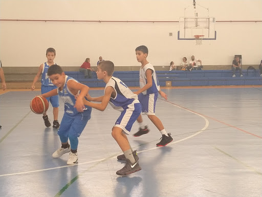 CEIP Punta Larga, Escuela en Santa Cruz de Tenerife,Santa Cruz de Tenerife