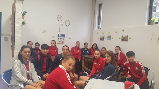 Polideportivo de Riosa, Gimnasia en La Ara,Asturias