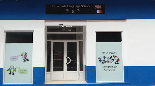 Little Birds Language School, Escuela de idiomas en Valladolid,Valladolid