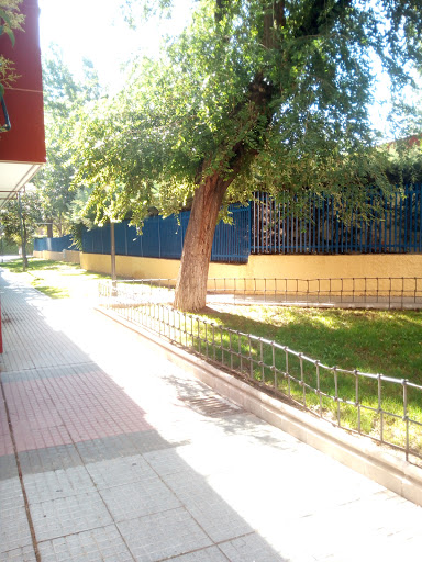 Escuela de Educación Infantil Jeromín, Institución educativa pública en Leganés,Madrid