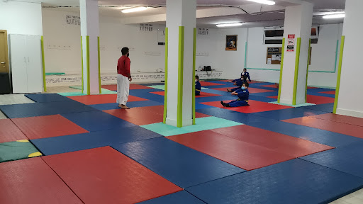 Judoescuela Cartes, Club de judo en Cartes,Cantabria