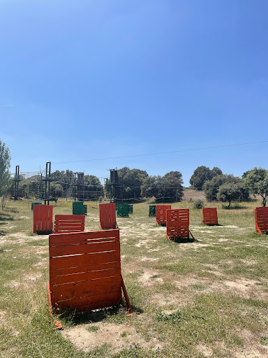 Divergreen, Escuela en Sevilla la Nueva,Madrid