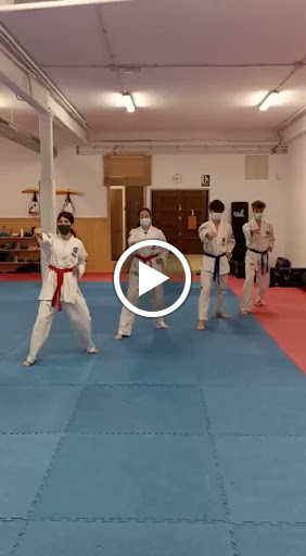 HRD Lions Escuela De Artes Marciales, Gimnasia en Masquefa,Barcelona