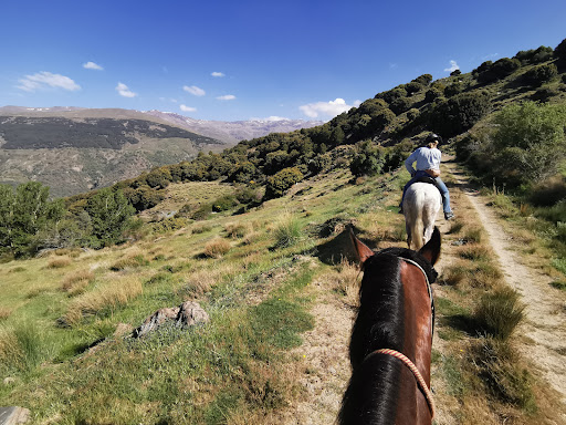 Sierra Trails, Servicio de montaña a caballo en Bubión,Granada