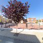 Patio Colegio Santo Angel, Centro educativo en Zújar,Granada