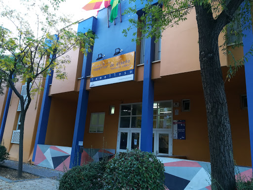Escuela de Arte y Superior de Diseño Antonio López, Escuela de Arte en Tomelloso,Ciudad Real