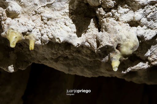 Cueva de los Murciélagos, Atracción turística en Zuheros,Córdoba