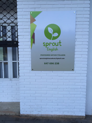 Sprout English Academy, Escuela de inglés en Ciudad Real,Ciudad Real