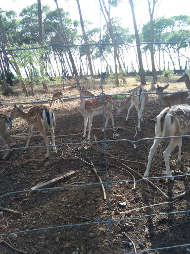 Escola Santa Maria Del Mar, Institución educativa pública en Salou,Tarragona