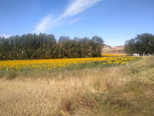 Ayuntamiento de Mezquita De Jarque, Ayuntamiento en Mezquita de Jarque,Teruel