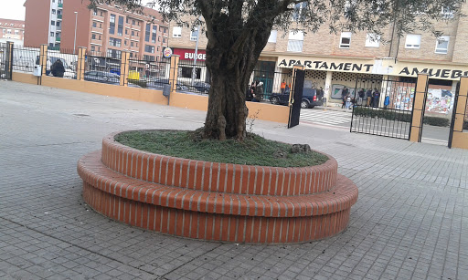 IES León Felipe, Escuela secundaria en Benavente,Zamora