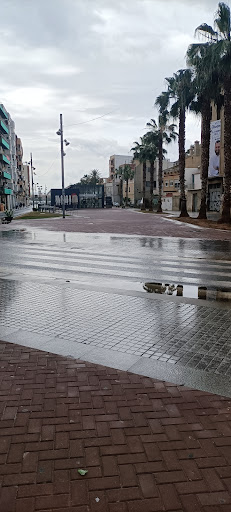 Avenida Divino Maestro, Escuela en Alboraya,Valencia