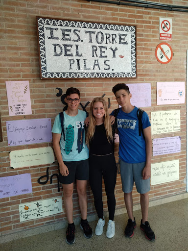 IES 