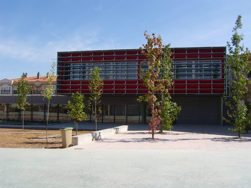 ANA PUBLIC SCHOOL OF AUSTRIA, Institución educativa pública en Cigales DO,Valladolid