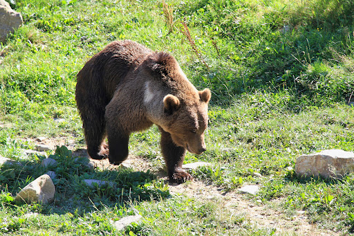 Aran Park - Parc Animalier, Parque de animales en Tremp,Lleida