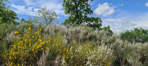 Colegio Público La Cogolla Fuentesnuevas, Institución educativa pública en Fuentes Nuevas,León