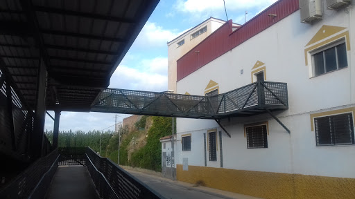 CEIP Alamedas del Genil, Institución educativa pública en Villanueva Mesía,Granada