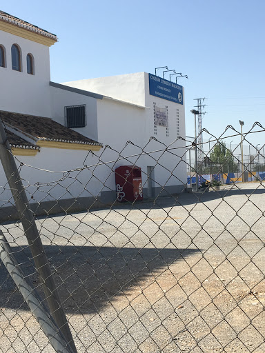 Concerted College Cerrillo Maracena, Escuela bilingüe en Granada,Granada