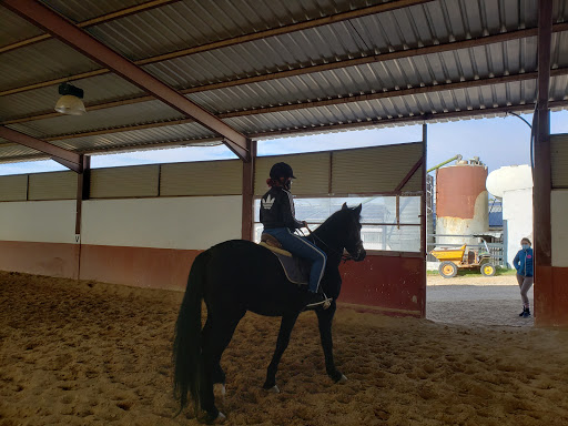 Escuela de equitacion Santana Doma Clasica, Escuela de equitación en Campo Real,Madrid