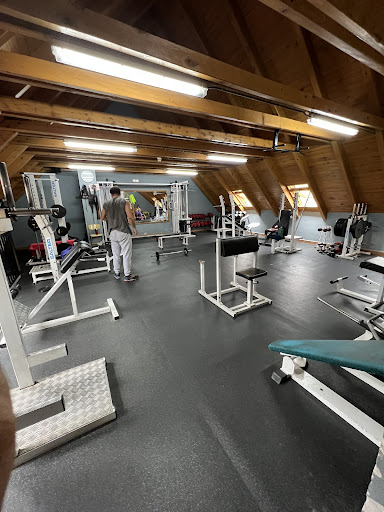 Zona esportiva, Centro de gimnasia en Bossòst,Lleida