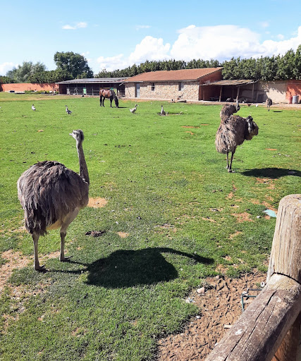 Los Reales Granja Escuela, Escuela agrícola en Valdefresno,León