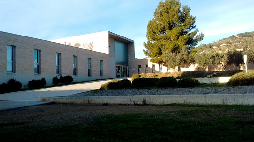 Institut Joan Puig i Ferreter, Escuela secundaria en La Selva del Camp,Tarragona